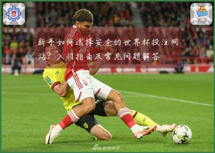 新手如何选择安全的世界杯投注网站？入门指南及常见问题解答