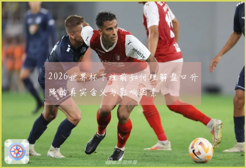 2026世界杯下注前如何理解盘口升降的真实含义与影响因素